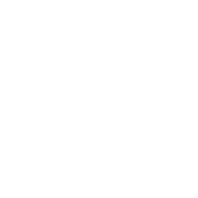 estratellus, enfoque, integral